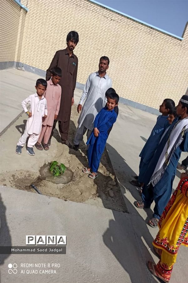 نکوداشت روز درختکاری در منطقه پلان