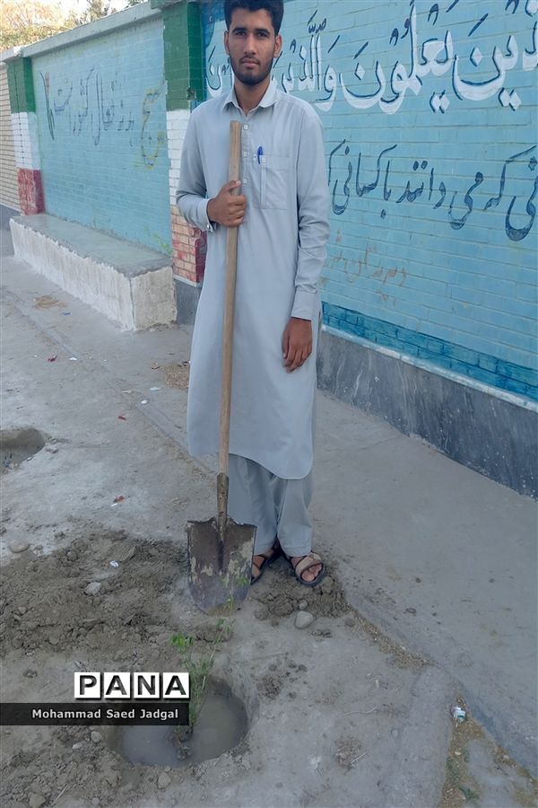 نکوداشت روز درختکاری در منطقه پلان