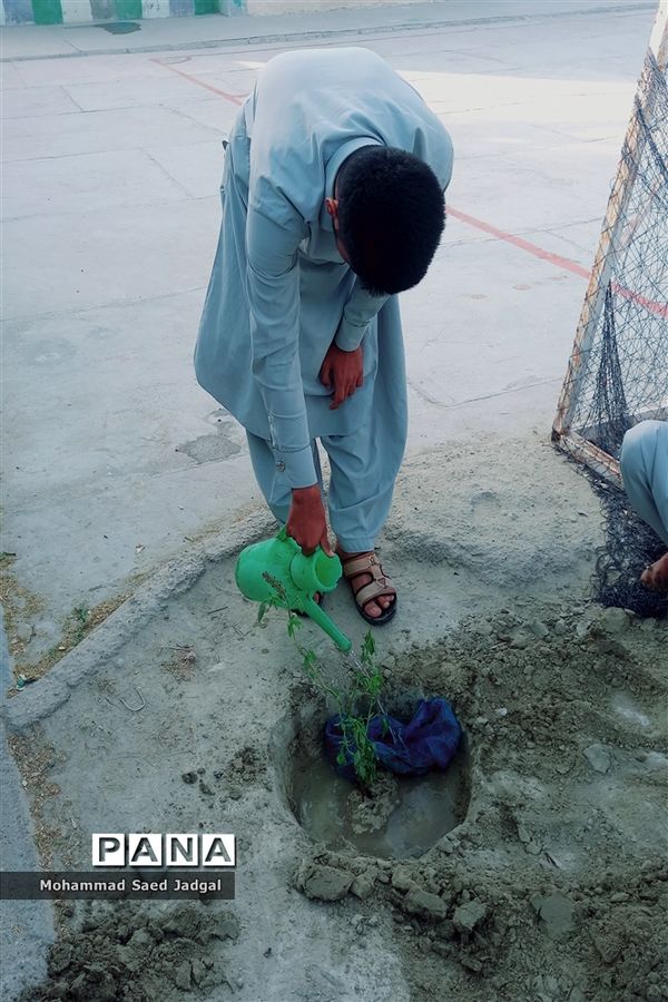 نکوداشت روز درختکاری در منطقه پلان