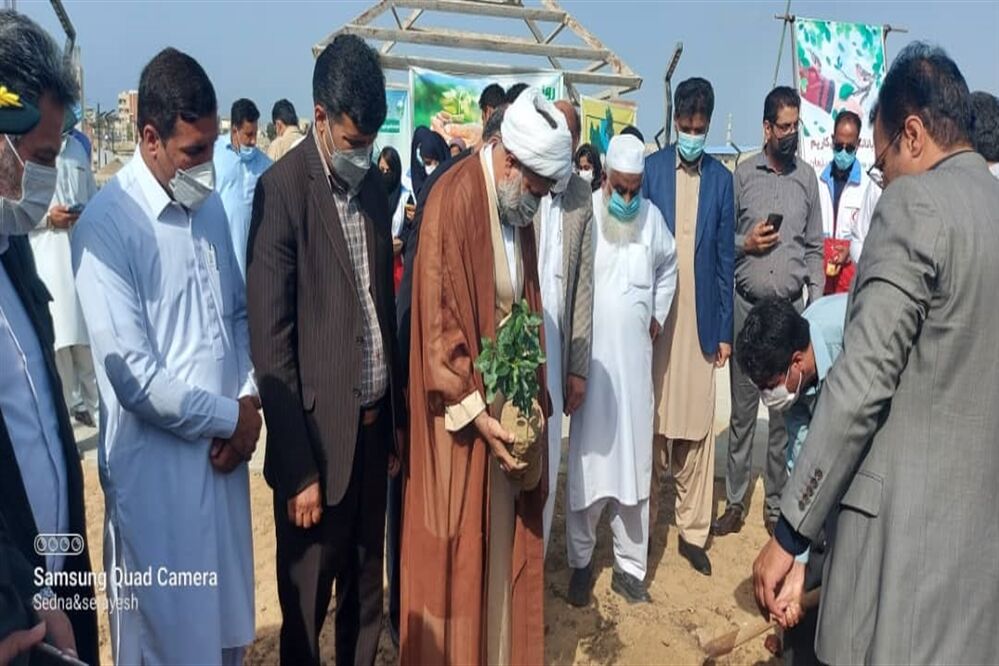 سنت حسنه درختکاری در چابهار