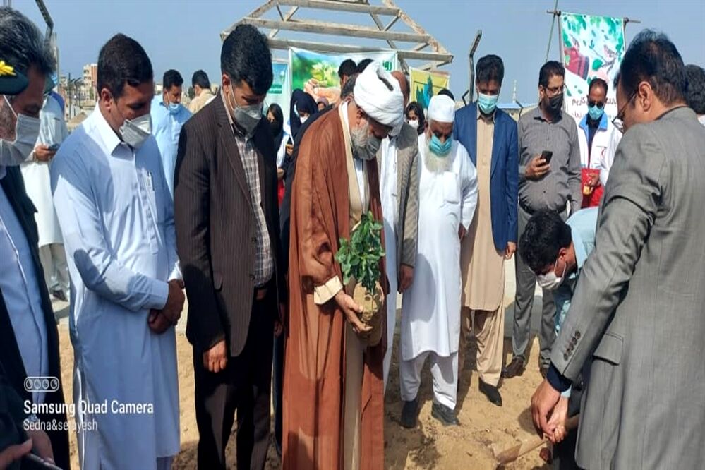 سنت حسنه درختکاری در چابهار