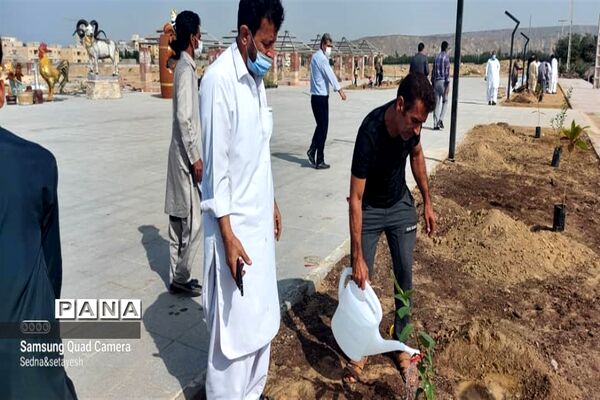 سنت حسنه درختکاری در چابهار