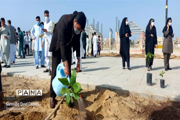 سنت حسنه درختکاری در چابهار