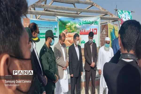 سنت حسنه درختکاری در چابهار