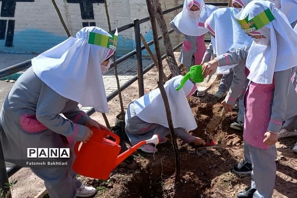 کاشت نهال در مراکز پیش‌دبستانی ناحیه یک شهرری