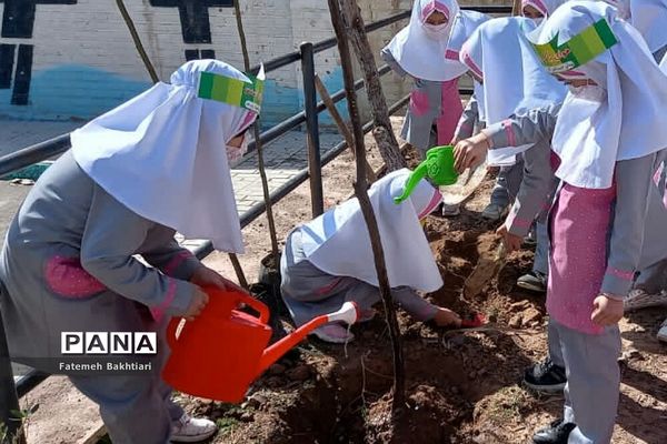 کاشت نهال در مراکز پیش‌دبستانی ناحیه یک شهرری