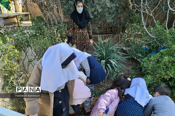 کاشت نهال در مراکز پیش‌دبستانی ناحیه یک شهرری