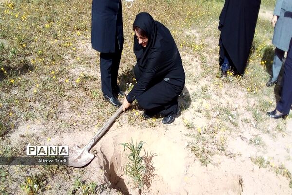 مراسم روز درختکاری در اردوگاه تربیتی امام خمینی (ره)  استان بوشهر چاهکوتا برگزار شد