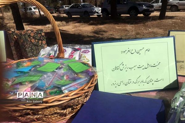 با حضور مسئولان آموزش و پرورش آباده  اجرای پویش ایران سر سبز