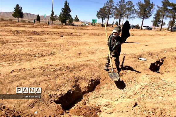 با حضور مسئولان آموزش و پرورش آباده  اجرای پویش ایران سر سبز