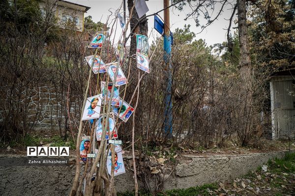 آیین روز درختکاری در اردوگاه شهید چمران تهران