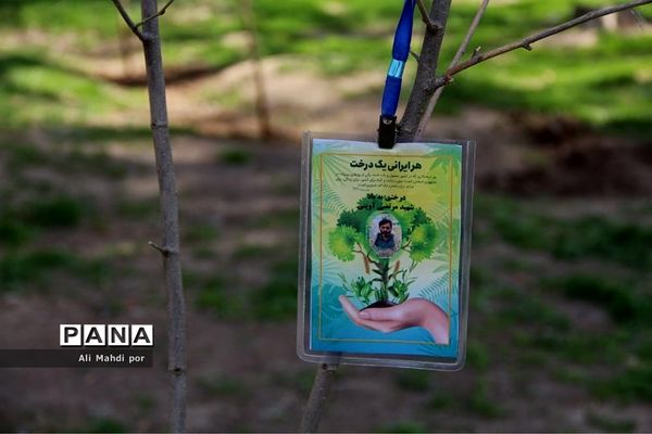 مراسم روز درختکاری در شهرری