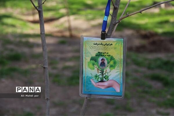 مراسم روز درختکاری در شهرری