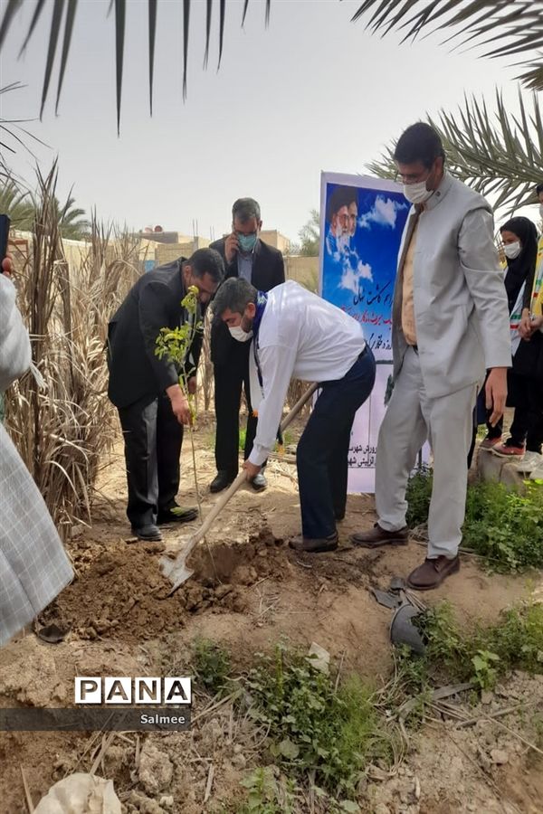 کاشت نهال در مدارس شادگان در روز درختکاری