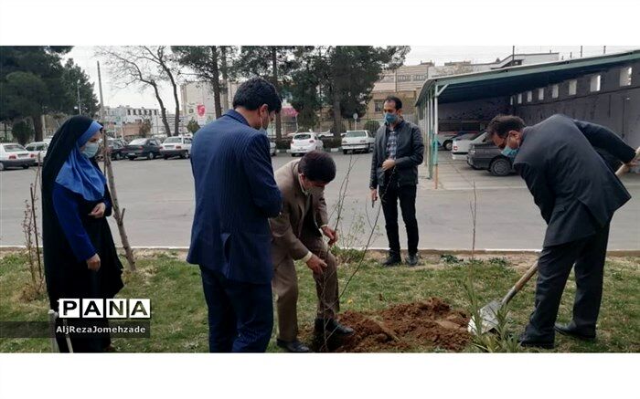 کاشت نهال در اداره آموزش و پرورش کاشمر