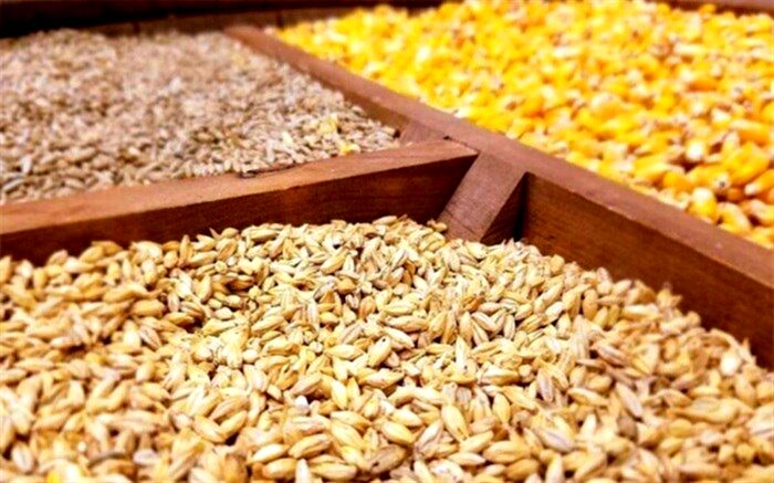 رشد ارزشی واردات نهاده دامی به 55 درصد رسید