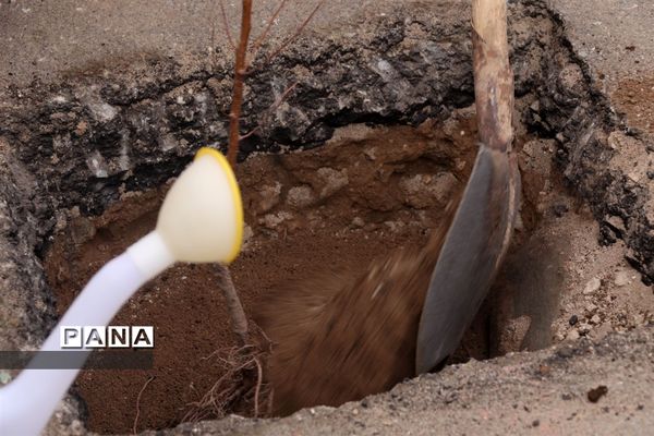 کاشت نهال میوه در روز درختکاری