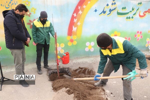 کاشت نهال میوه در روز درختکاری