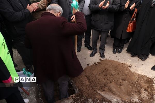 کاشت نهال میوه در روز درختکاری