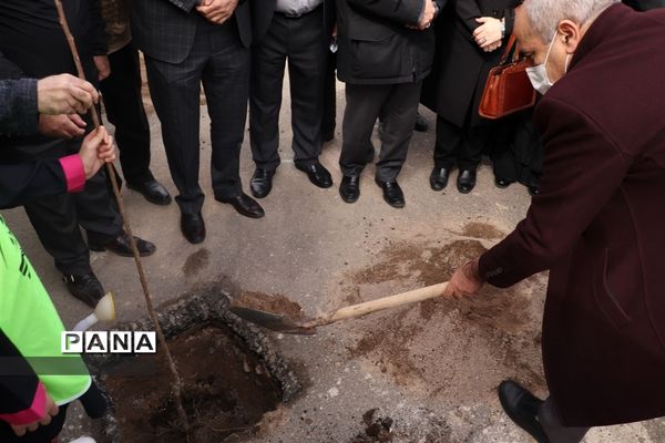 کاشت نهال میوه در روز درختکاری