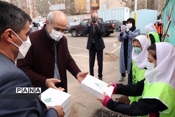 کاشت نهال میوه در روز درختکاری