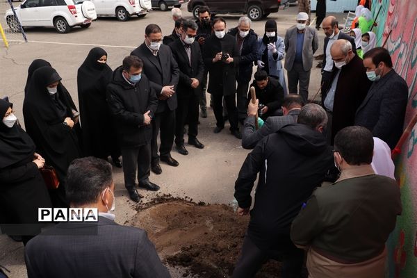 کاشت نهال میوه در روز درختکاری