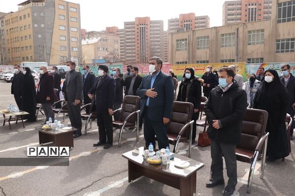 کاشت نهال میوه در روز درختکاری