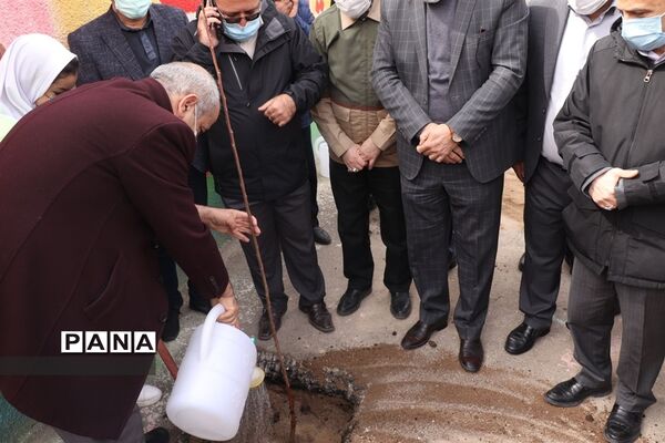 کاشت نهال میوه در روز درختکاری