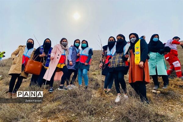 کاشت نهال در مراتع جوزک مانه و سملقان