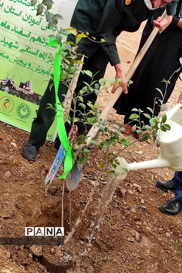 روز درختکاری در اصفهان
