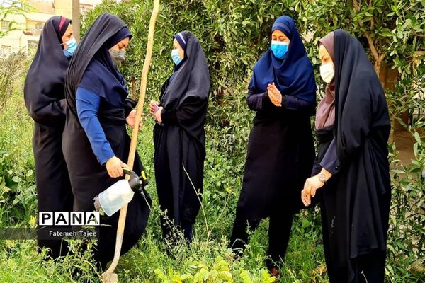 آیین درختکاری در ناحیه 2 اهواز