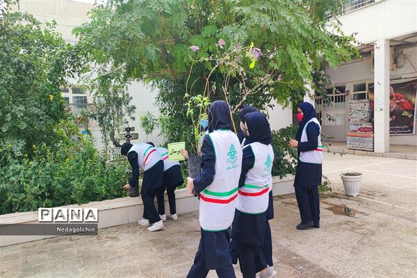 آیین درختکاری در دبیرستان شاهد ارشاد ناحیه ۳  اهواز