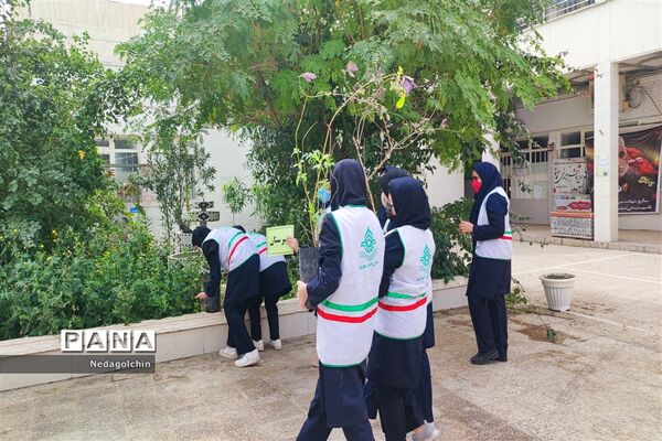 آیین درختکاری در دبیرستان شاهد ارشاد ناحیه ۳  اهواز