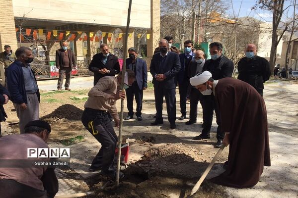 کاشت درخت به نیابت از شهیدان در رودهن