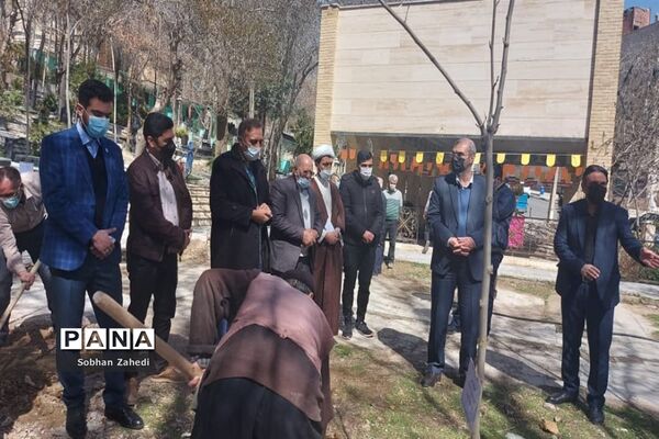 کاشت درخت به نیابت از شهیدان در رودهن