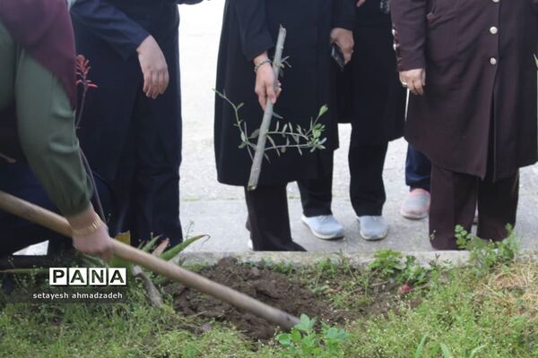 مشارکت دانش‌آموزان گلوگاهی در هفته منابع طبیعی