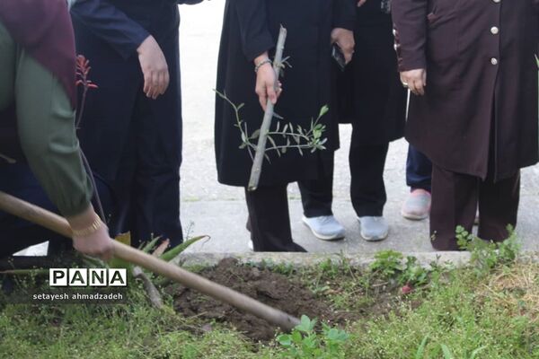 مشارکت دانش‌آموزان گلوگاهی در هفته منابع طبیعی