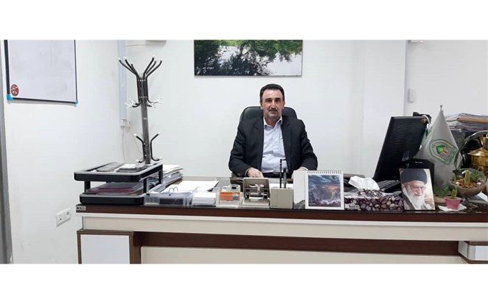 افزایش قاچاق چوب در جنگل‌های شمال نگران‌کننده است