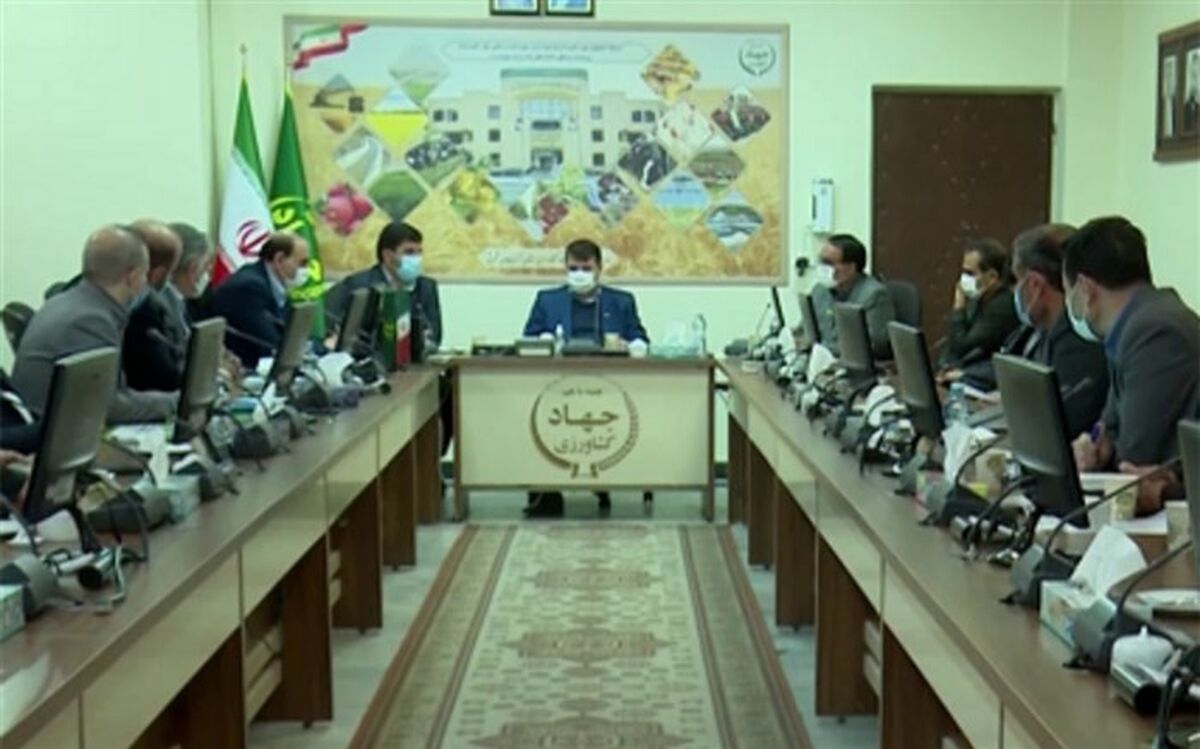 رتبه دوم آذربایجان‌شرقی در رفع تداخلات اراضی کشاورزی
