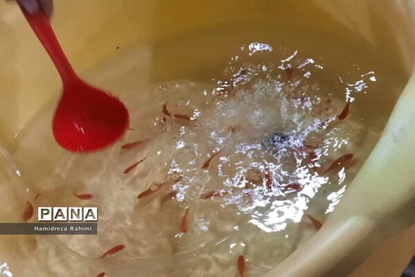 نمایشگاه صنایع دستی و سوغات اقوام در شهر ری