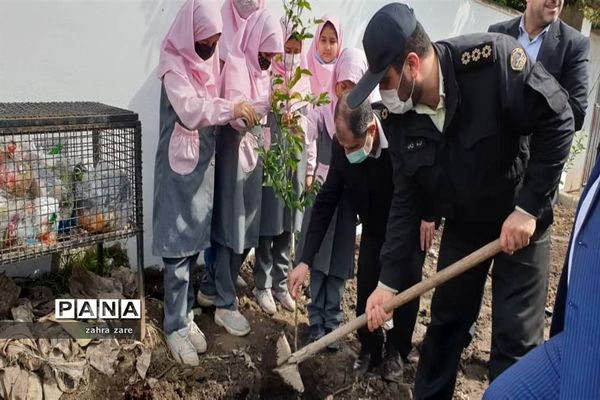 اجرای طرح کمربند سبز روستای شومیا محمودآباد با کاشت یک هزار نهال