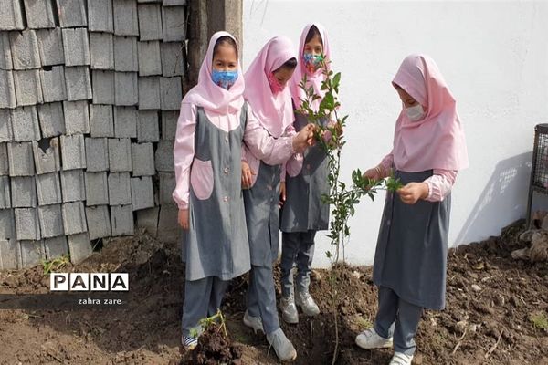 اجرای طرح کمربند سبز روستای شومیا محمودآباد با کاشت یک هزار نهال