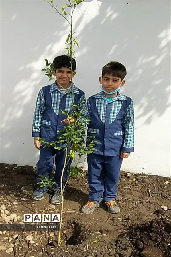 اجرای طرح کمربند سبز روستای شومیا محمودآباد با کاشت یک هزار نهال