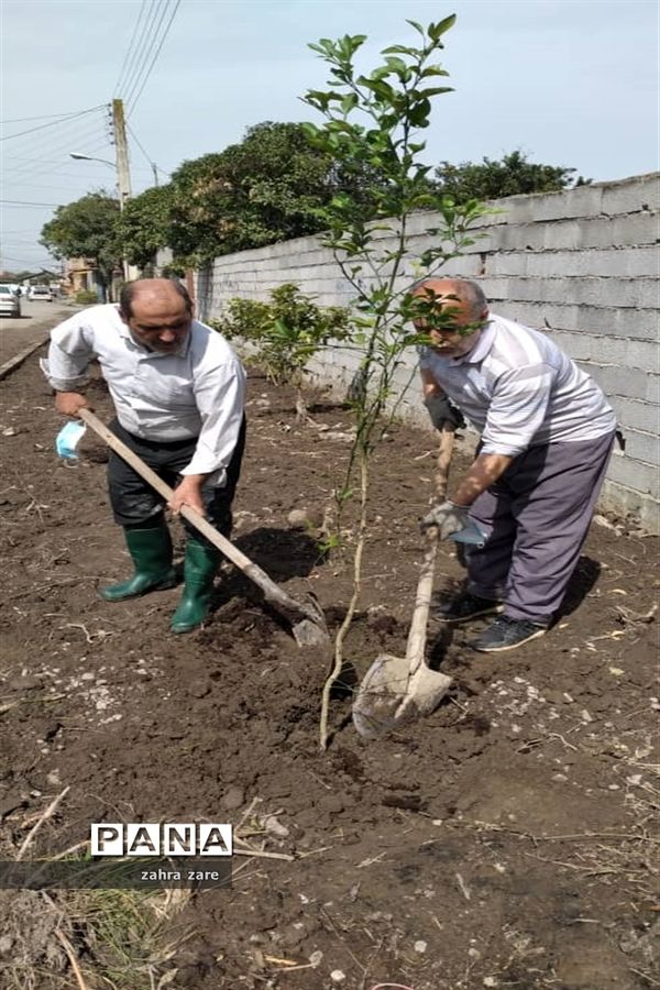 اجرای طرح کمربند سبز روستای شومیا محمودآباد با کاشت یک هزار نهال