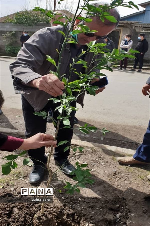 اجرای طرح کمربند سبز روستای شومیا محمودآباد با کاشت یک هزار نهال