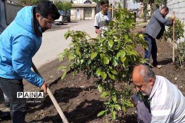 اجرای طرح کمربند سبز روستای شومیا محمودآباد با کاشت یک هزار نهال