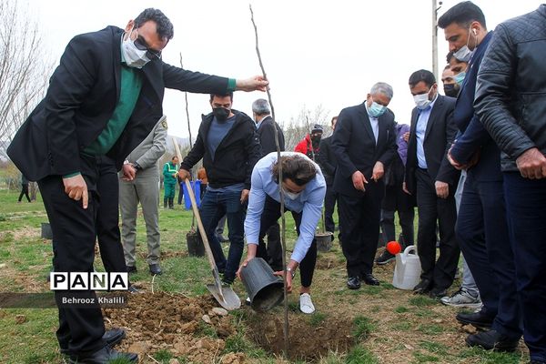 آیین درختکاری هر ورزشکار، یک درخت