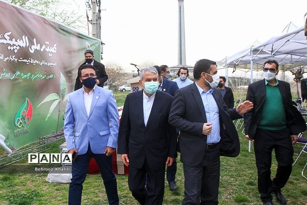 آیین درختکاری هر ورزشکار، یک درخت