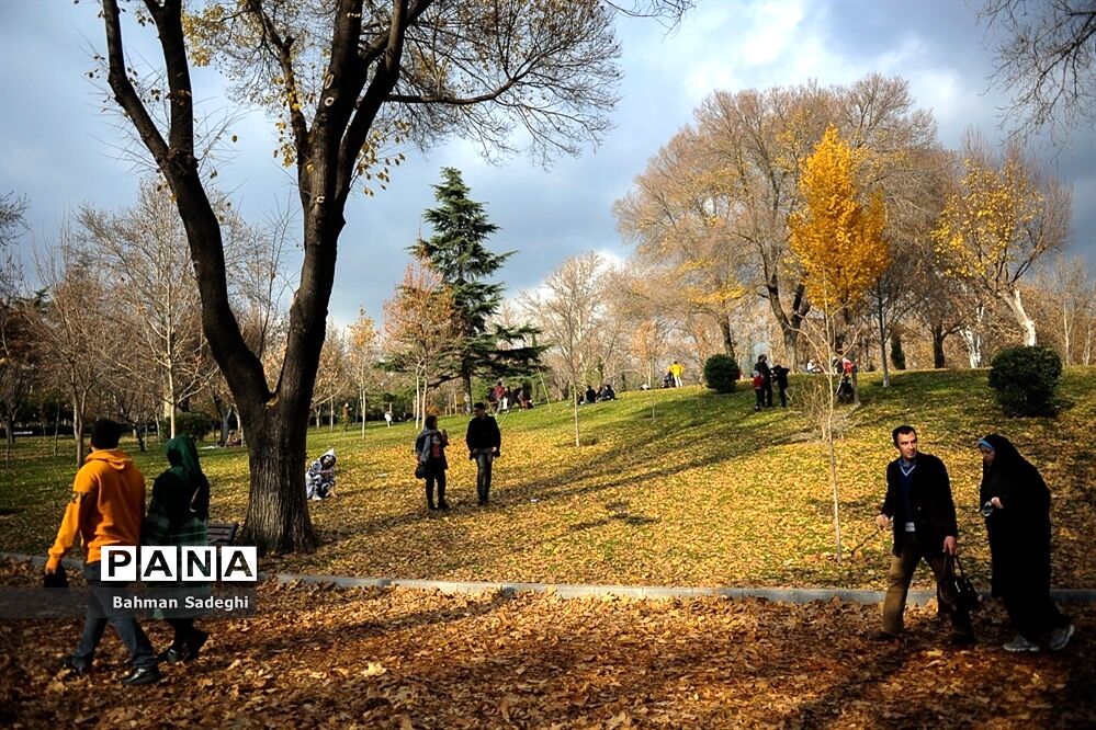 آماده‌سازی بوستان‌های پایتخت برای سال نو