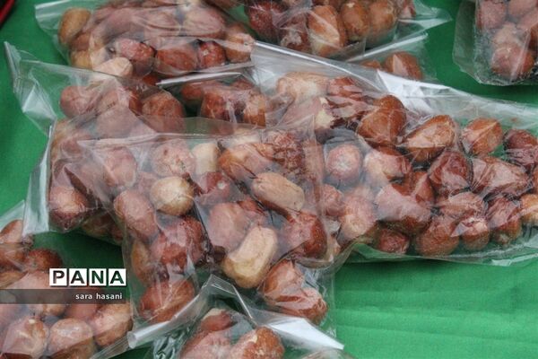 حال و هوای عید نوروز در مدارس گلوگاه